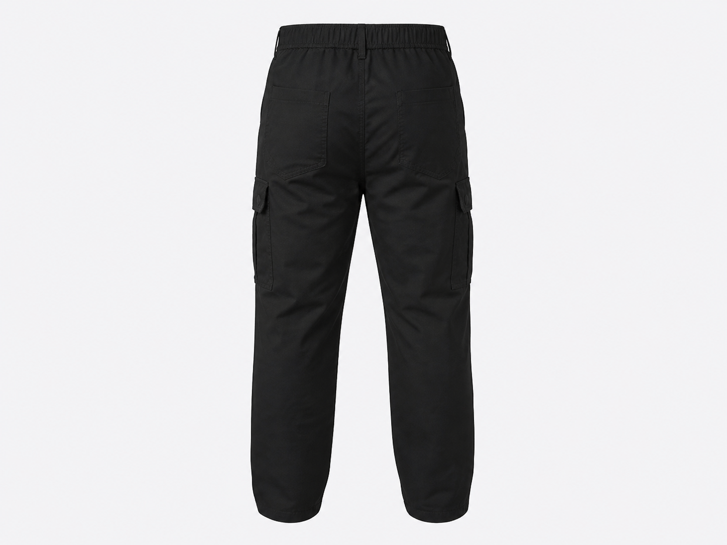 Black Standard-Issue Cargo Pants, ghost flat, rear view